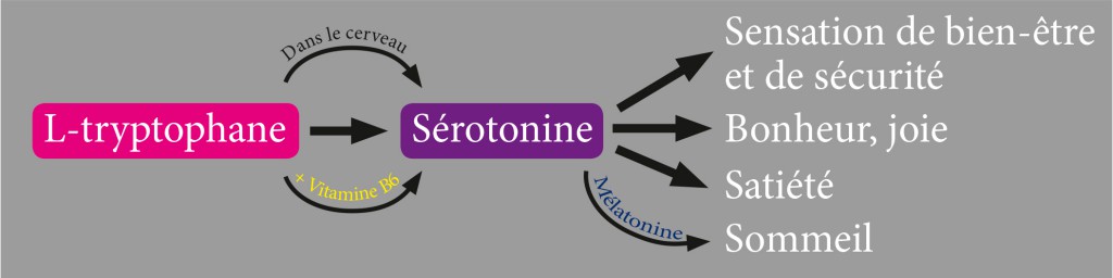 schema sérotonine